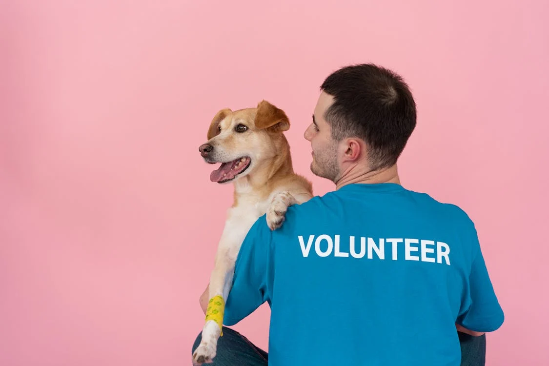 Voluntariat-esențiale-Beneficii-și-perspective